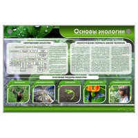 Электрифицированный стенд "Основы экологии"